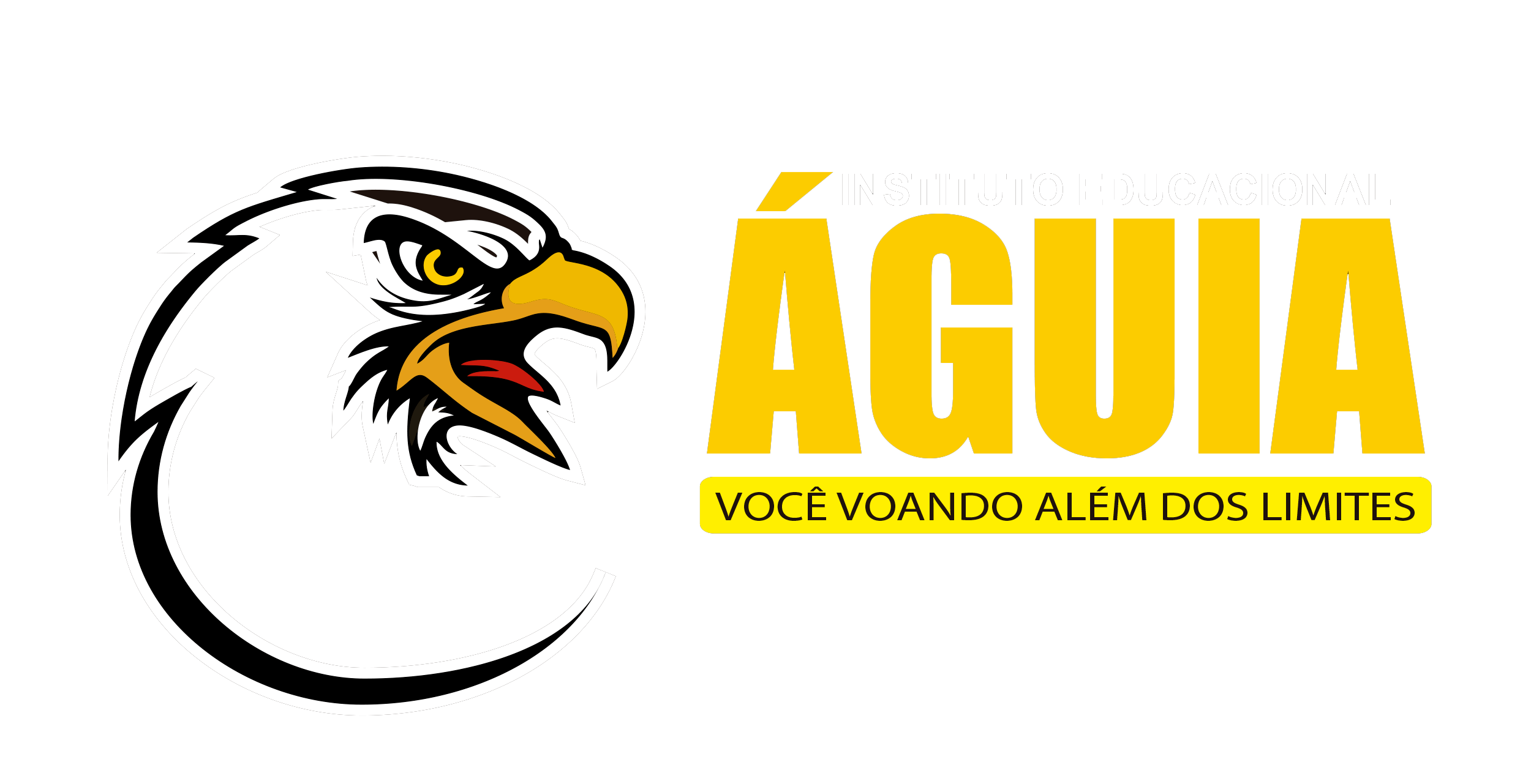 Instituto Educacional Águia